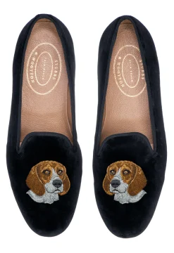 Beagle (Men)